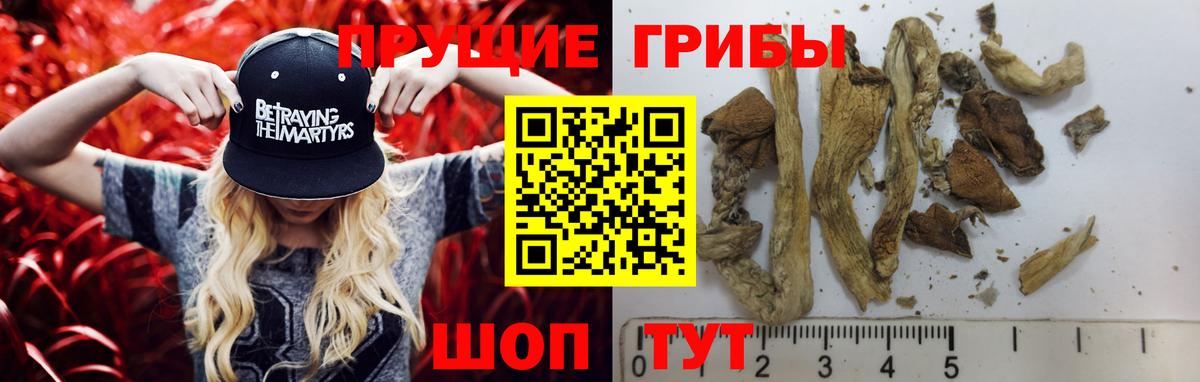 Псилоцибиновые грибы MAGIC MUSHROOMS  Вход с VPN  Россошь 